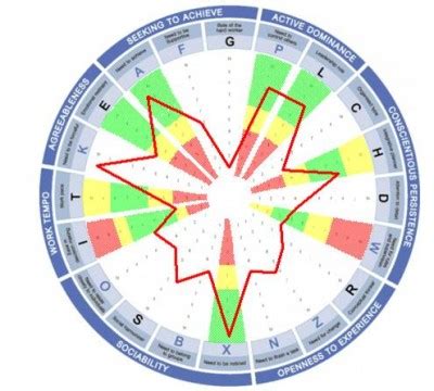 personality and preference inventory